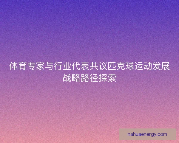 体育专家与行业代表共议匹克球运动发展战略路径探索